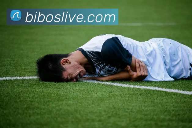 必博体育发展历程