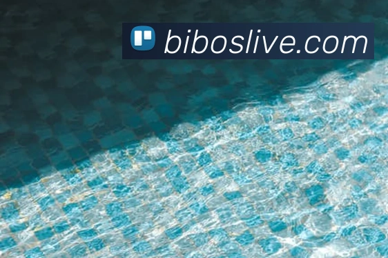 拳击奥运冠军强势回归训练场豪言以吴愉为榜样再创辉煌