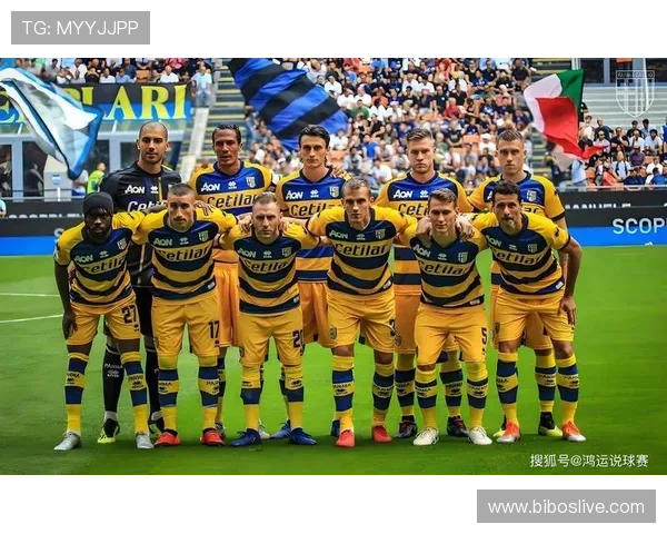 意甲2009球队阵容：回顾2009赛季意甲球队的阵容与表现