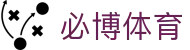 BIBO必博体育· (中国)官方网站-BIBOSports